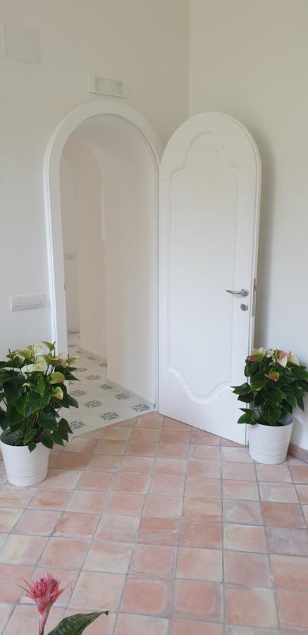 Chambre Double ou Lits Jumeaux Supérieure avec Terrasse